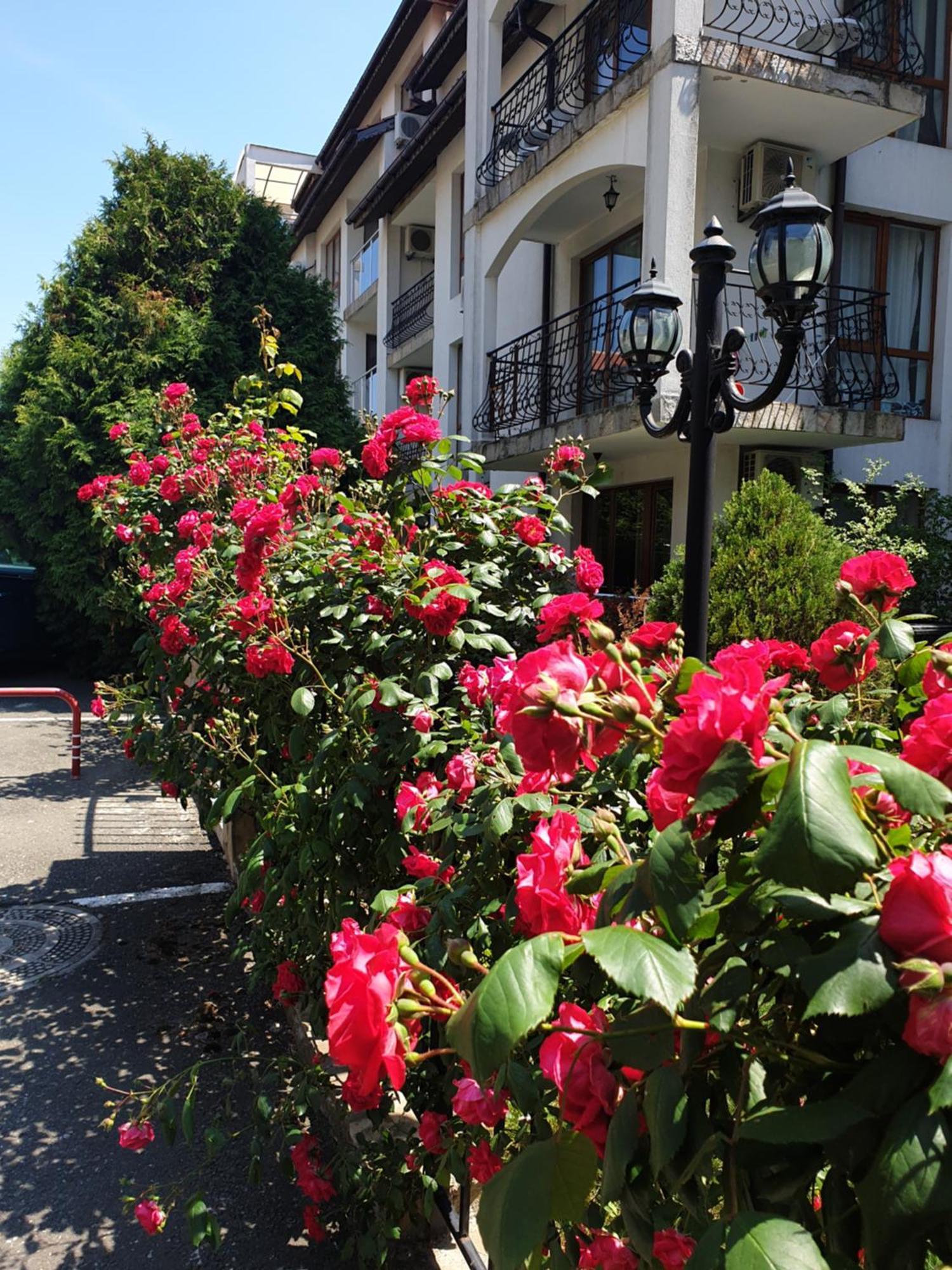 Apartament La Terrace Sea View Święty Włas Pokój zdjęcie
